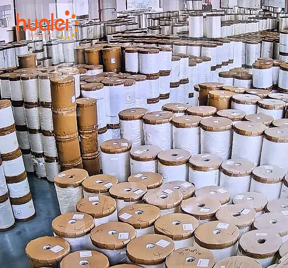 Top 10 Companies in BOPP Films